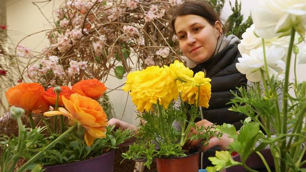 Floristka Pavlína Švecová aranžuje květinovou výzdobu ve výstavním pavilonu A.