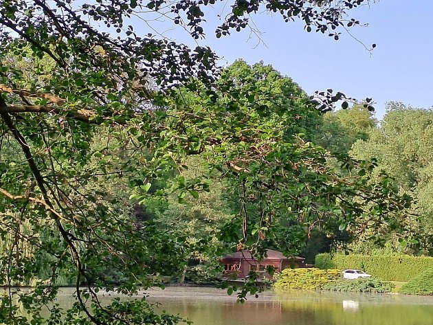 Chatička u sousedního rybníku, který patří firmě spojené s podnikatelem, spojeným s černou stavbou.