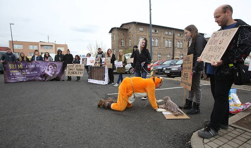 Litoměřický protest proti zotročování zvířat v cirkusech.