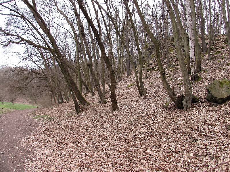 Oparenský expres vyjel poprvé na Velký pátek 2. dubna.