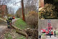 Hasiči pomohli s kácením stromů v Lukově, dřevo nabídne ÚZSVM v dražbě.