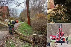 Hasiči pomohli s kácením stromů v Lukově, dřevo nabídne ÚZSVM v dražbě.