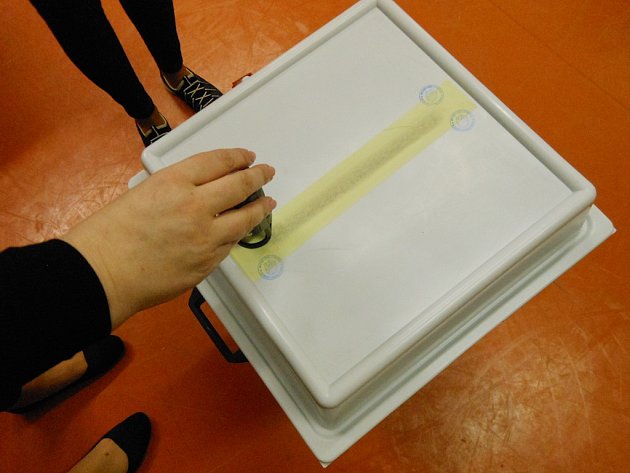 Účast voličů u okrskové komise v Domě dětí a mládeže Rozmarýn v Litoměřicích byla už v pátek téměř padesátiprocentní. 