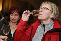 Zimní košt vín v Lovosicích