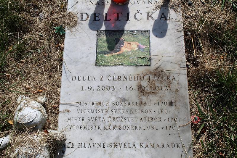 Zvířecí hřbitov na úpatí hory Říp u Vražkova.