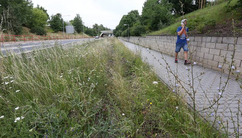 Okolí silnic první třídy to vypadá jako v pralese. ŘSD neposekalo trávu ani jednou.