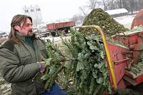 Pracovníci Technických služeb města Litoměřice začali likvidovat vánoční stromky.