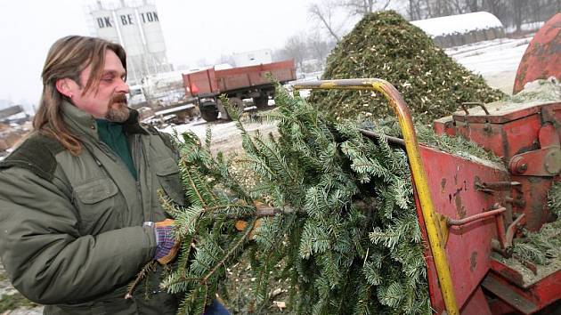 Pracovníci Technických služeb města Litoměřice začali likvidovat vánoční stromky.