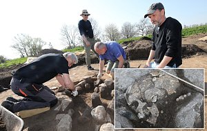 V lovosické průmyslové zóně, kde se bude stavět Kaufland, nyní probíhá archeologický průzkum. Na poli u Nového Klapý odkrývají archeologové hroby z keltské doby.