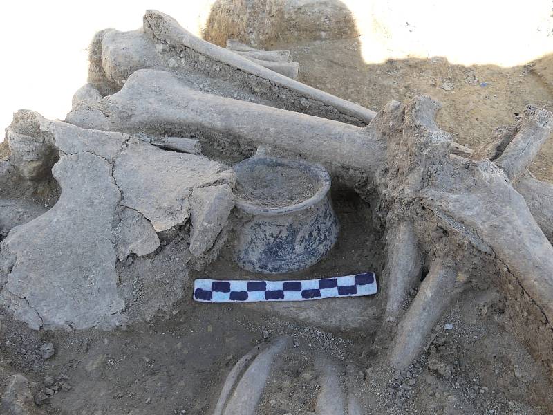 Na staveništi u Vražkova objevili archeologové řadu pravěkých hrobů.
