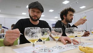 V Litoměřicích se poprvé koná Mezinárodní festival piva.