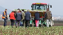 Zemědělci na Litoměřicku mají obavy, že nebudou mít na jarní práce a asi ani na sklizeň brigádníky