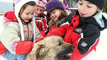 DĚTI ze základní školy v Lovosicích přivezly psům do útulku granule a pamlsky na Štědrý den, ale i peníze, které útulek potřebuje na veterinární služby. Potěšily zvířata také svou přítomností a pohlazením.