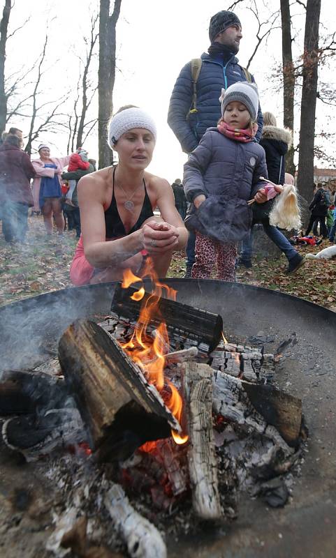 Vánoční koupání otužilců v Labi