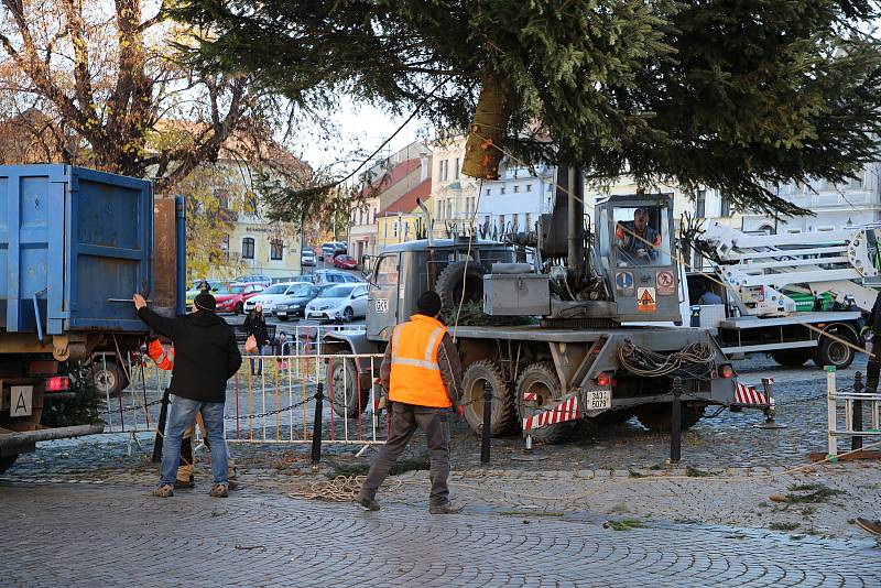 Na roudnické Karlovo náměstí v úterý 23. listopadu přivezli vánoční strom.