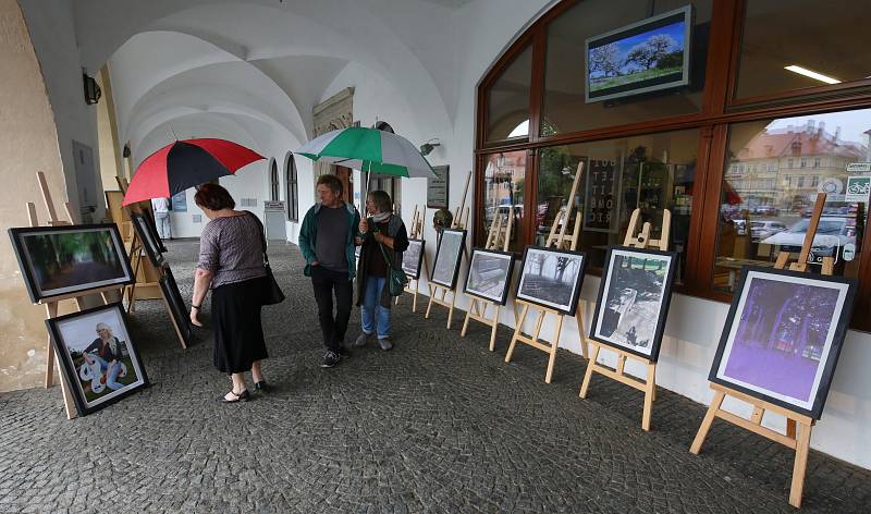 Litoměřický fotoklub Porta pořádá výstavu fotografií na dlažbě