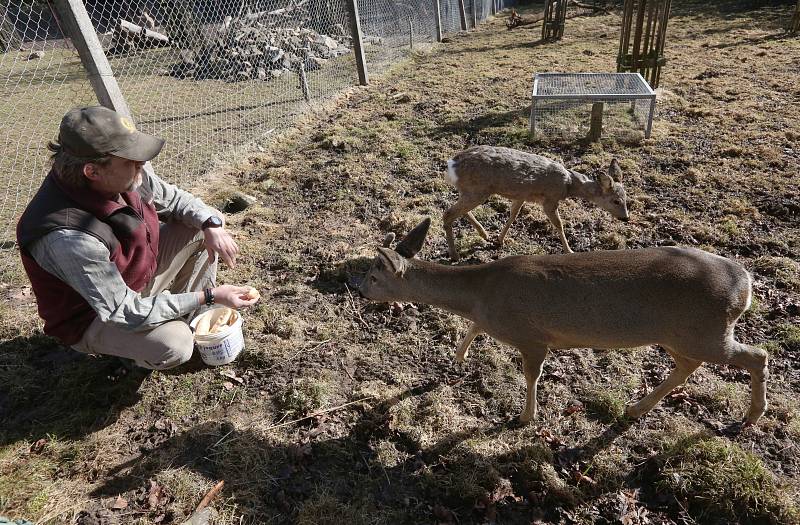 ZOOCENTRUM v Srdově na Litoměřicku po loňském požáru funguje. Na snímku preparátor Michal Fišer.