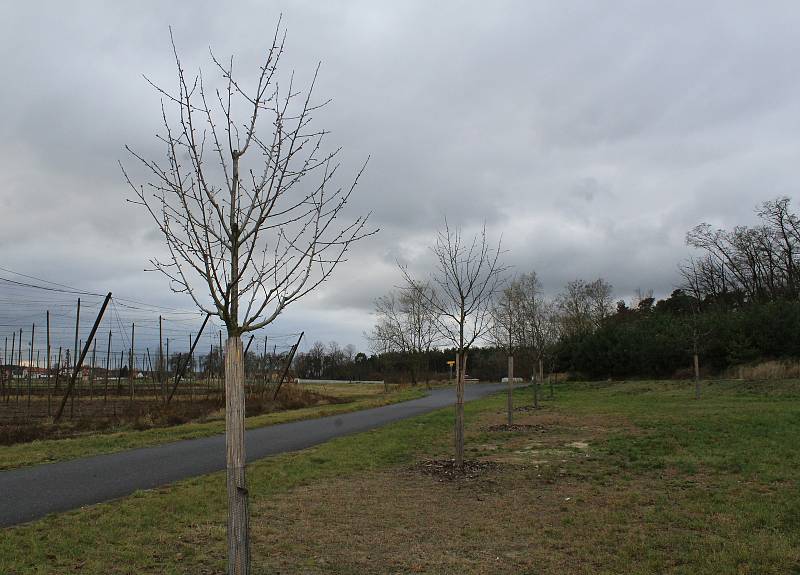 V blízkosti kostela se nachází také nový třešňový sad, kde každý strom představuje jeden ze spolků, které v Libotenicích působí.