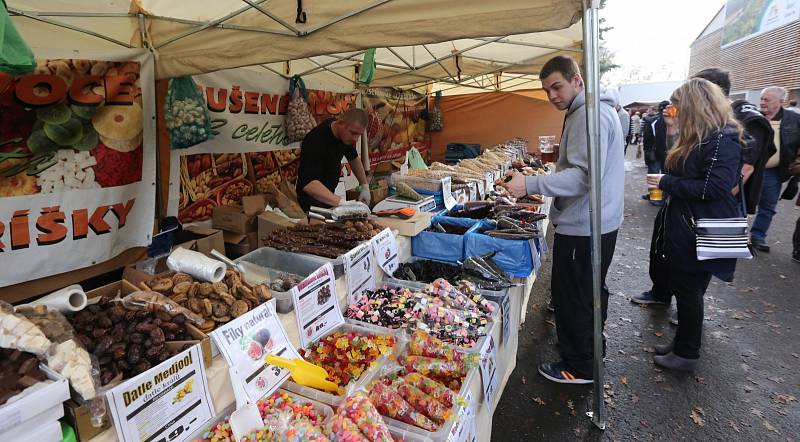 Gastrofest v Litoměřicích