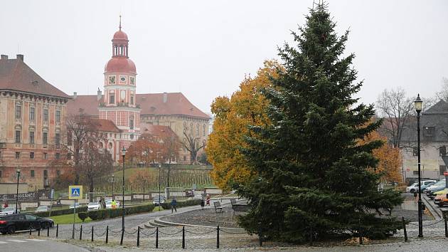 Roudnice nad Labem už má svůj vánoční strom.