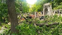 Škody po páteční bouřce na litoměřickém městském hřbitově.