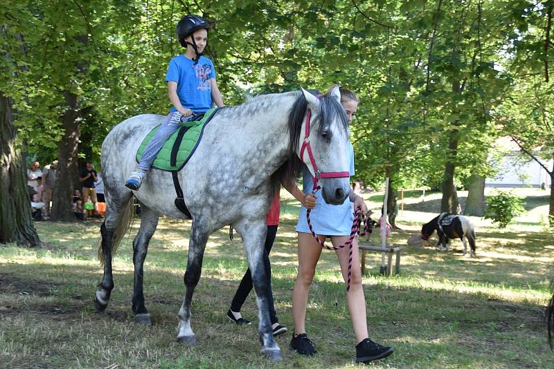 Špunt festival v lovosickém lesoparku Osmička