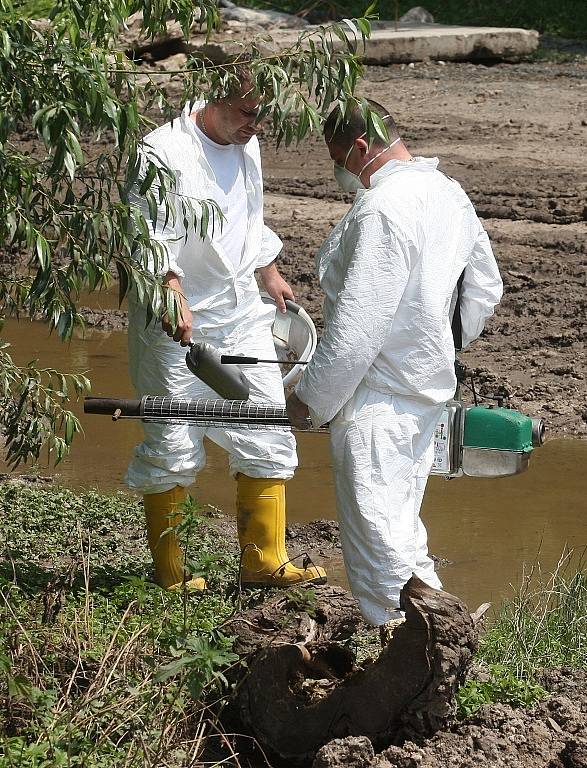 CHEMIE. Pracovníci dezinsekční a deratizační firmy likvidují larvy i vylíhnuté komáry v Bohušovicích. V terénu nyní budou každý den, pokud to počasí dovolí.