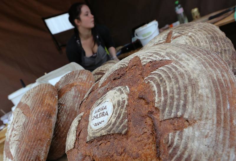 Gastrofest v Litoměřicích