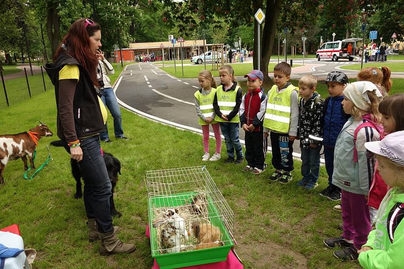 V úterý 19. května se konala na dětském dopravním hřišti v Jiráskových sadech v Litoměřicích ukázka integrovaného záchranného systému pro mateřské školy.