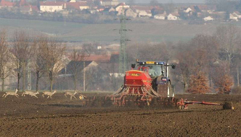 NA MÍSTO sněhu sečka. Teplé počasí umožňuje některým zemědělcům na Litoměřicku a Podřipsku začít s výsevem. Na polích je možné vidět sečky nezvykle brzy v okolí Lovosic nebo Bohušovic.