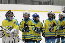 Hokejový turnaj pro ročníky 2014 a mladší v Roudnici