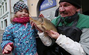 Předvánoční prodej ryb v Litoměřicích
