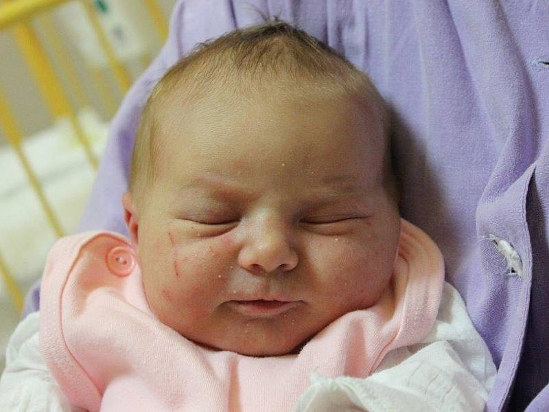 Kateřině Bílkové z Libochovan se 26.1. v 12:08 hodin narodila v Ústí nad Labem dcera Štěpánka Bílková (3,38 kg a 48 cm).