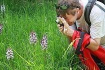 I přesto, že nám omezení v rámci současné situace překazila spoustu plánů, na vycházky na orchidejové lokality pozemkových spolků Českého svazu ochránců přírody se nakonec dostane.