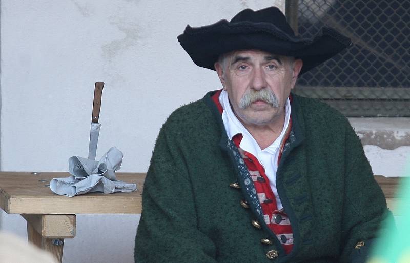 Josefínské slavnosti 2013, sobota dopoledne - slavnostní přehlídka vojsk