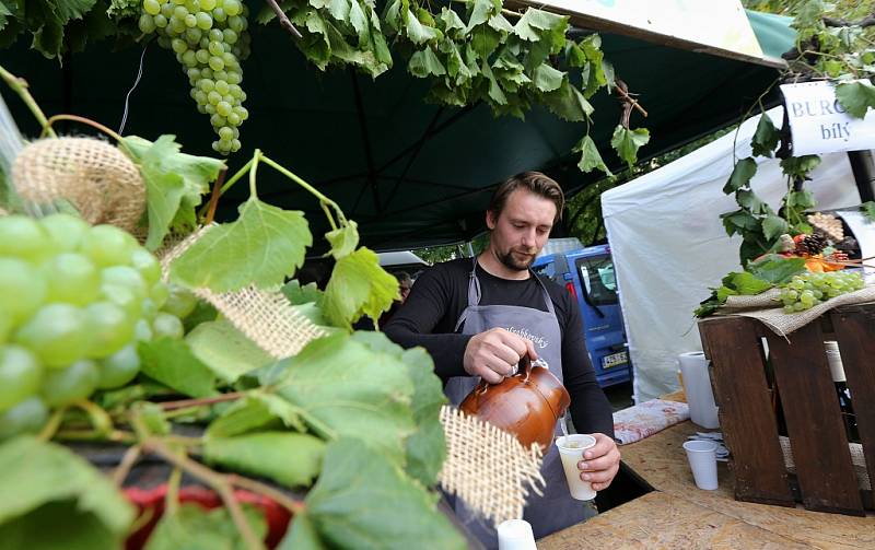 Vinobraní v Litoměřicích 