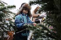Děti z Litoměřic zdobily na náměstí vánoční stromky.
