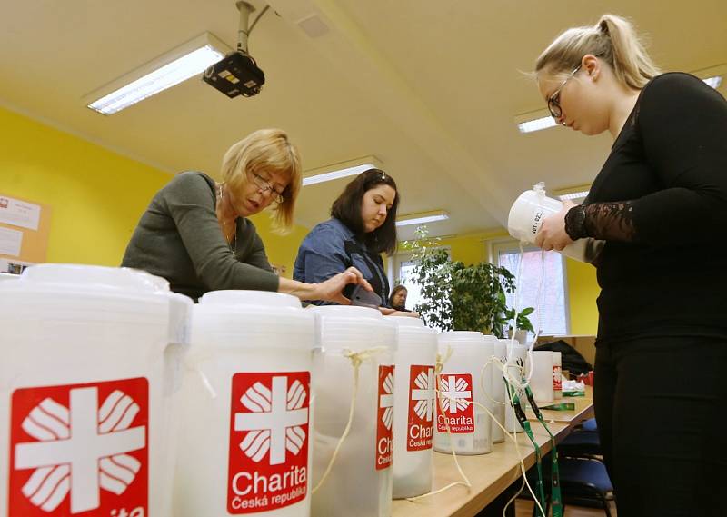 V Litoměřicích rozpečetili kasičky z Tříkrálové sbírky a začalo počítání peněz.