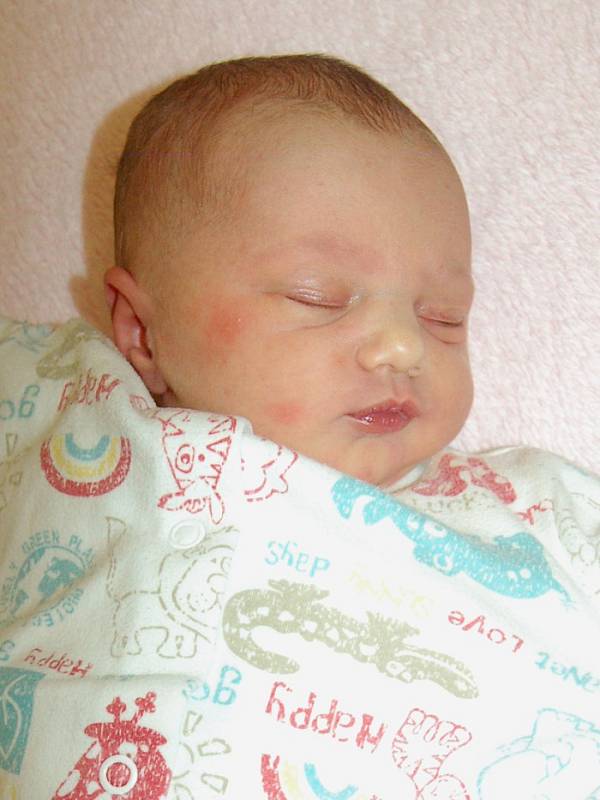 Petře Potůčkové a Stanislavu Štajgrovi z Lovosic se 18.11. v 0:47 hodin narodila v Litoměřicích dcera Amálie Štajgrová (3,14 kg a 50 cm).