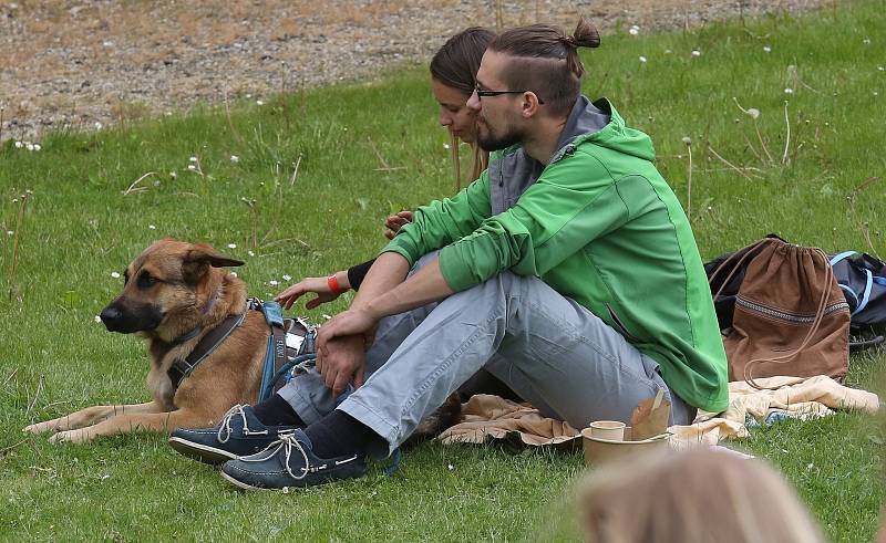 Allfest, stánky a zábava