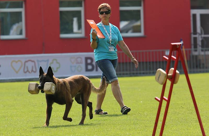 Příznivci sportovní kynologie soutěžili v areálu Pod Lipou v Roudnici nad Labem v Mistrovství ČR IPO.