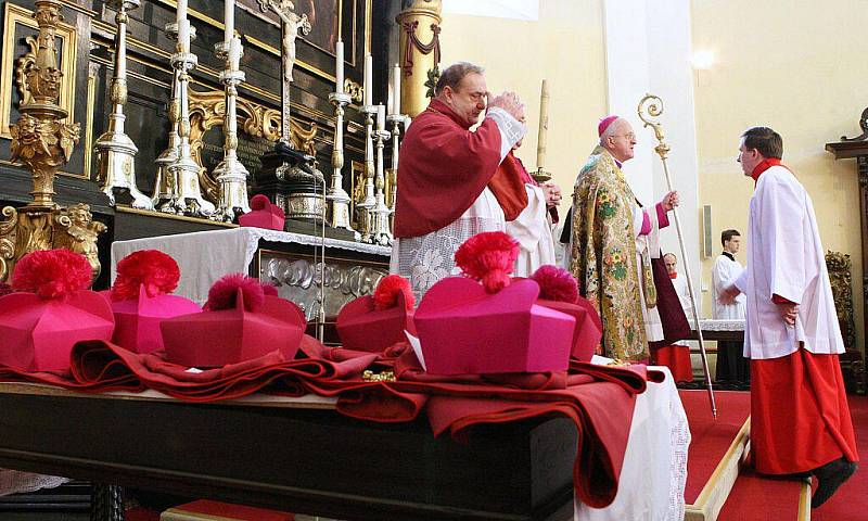 V katedrále sv. Štěpána bylo slavnostně uvedeno do funkce deset nově jmenovaných kanovníků místní kapituly.