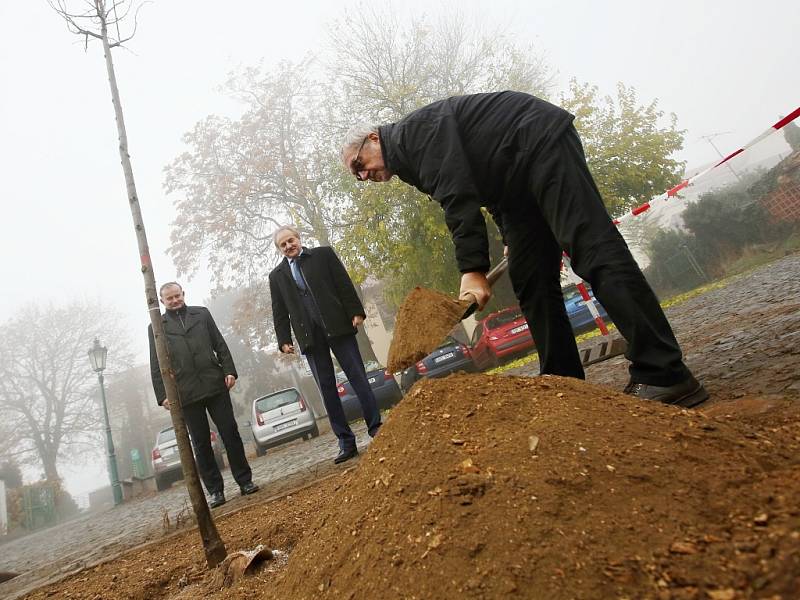 Představitelé Litoměřic zasadili poblíž budovy hospice sv Štěpána pamětní lípu.