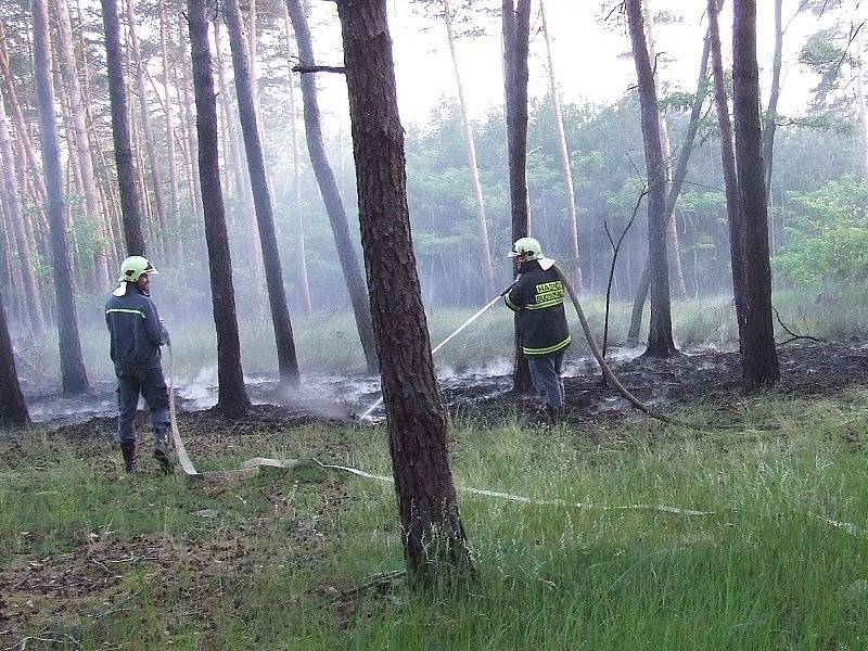 Požár lesa u obce Chodouny z 2. 6. 2008. 