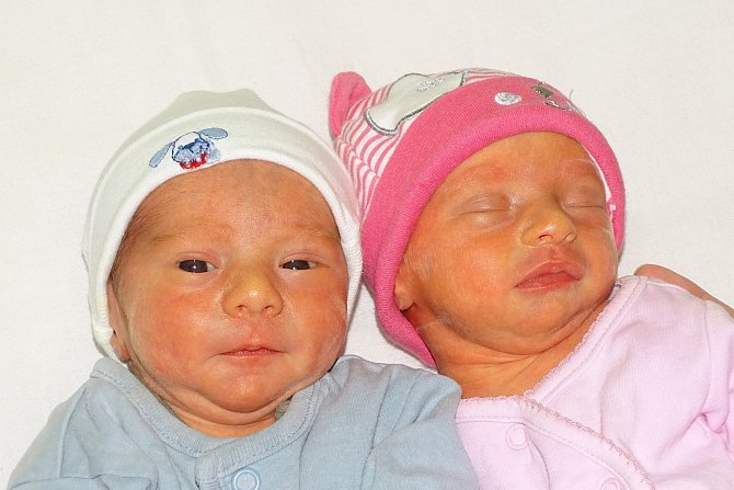 Denisa Kollárová a Dominik Kollár se narodili Anně a Janu Kollárovým z Podviní 2. ledna 2019 v 11.22 a 11.26 hodin v Litoměřicích. Měřili 44 a 46 cm a vážili 2,13 a 2,3 kg.