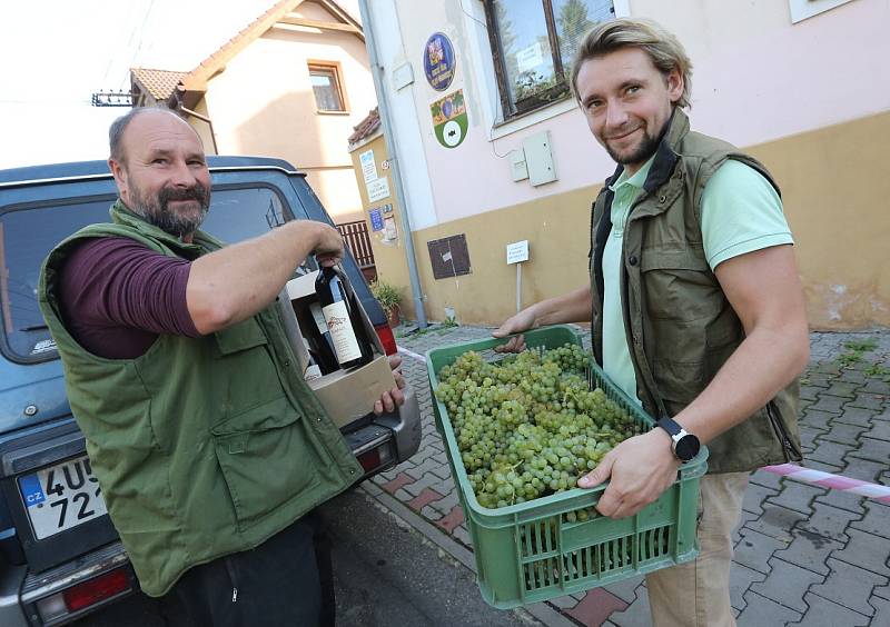 Žernosecké vinobraní bez obřího hroznu, který váží i přes sedmdesát kilogramů, není už myslitelné. 