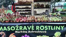 Zahrada Čech v Litoměřicích o víkendu přilákala tisíce lidí.