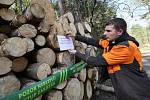 Deponie dřeva lesní hospodáři Lesů ČR ošetřují postřikem proti kůrovci a proto umisťují zákazy.