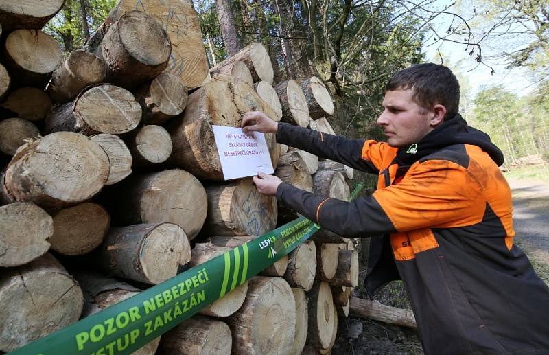 Deponie dřeva lesní hospodáři Lesů ČR ošetřují postřikem proti kůrovci a proto umisťují zákazy.