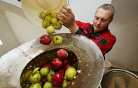 Vůně jablečné šťávy plní v těchto dnech moštárnu ve Starém Týně na Litoměřicku. Na statku Michala Wagnera funguje druhým rokem.